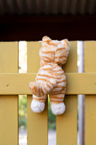 Ginger the Kitten - NanaHuchy