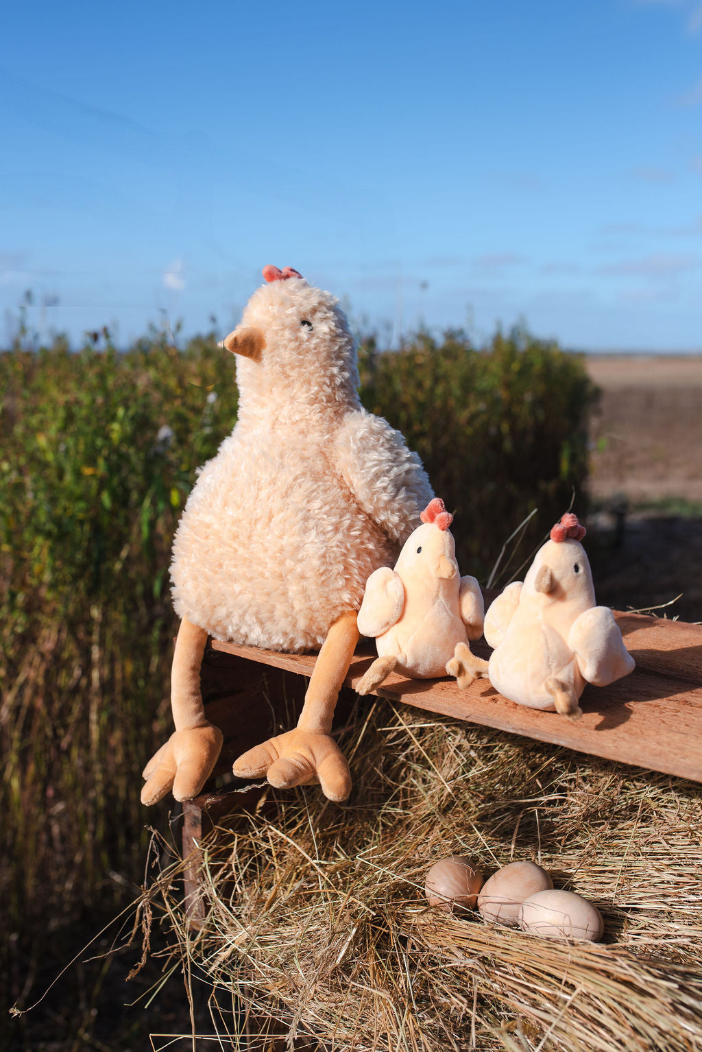 Harriet the Hen - Honey - NanaHuchy