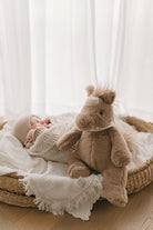 Harvey the Horse - NanaHuchy