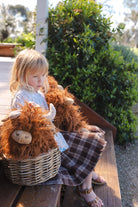 Heidi the Highland Cow - NanaHuchy