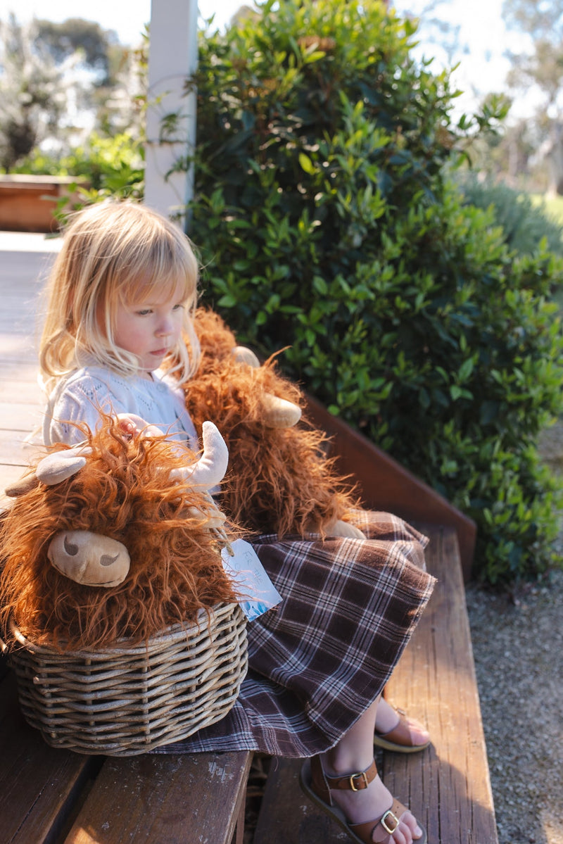 Heidi the Highland Cow - NanaHuchy