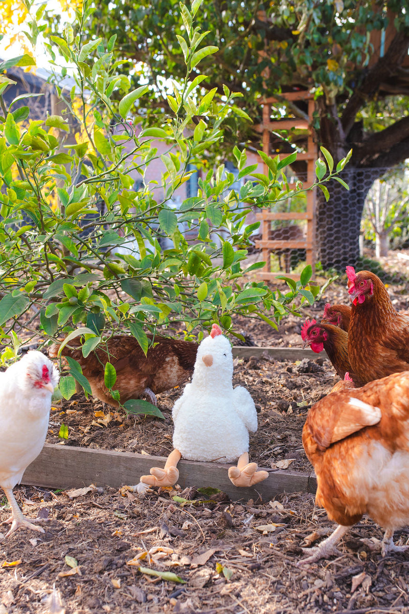 Henrietta the Hen Rattle - Cream - NanaHuchy