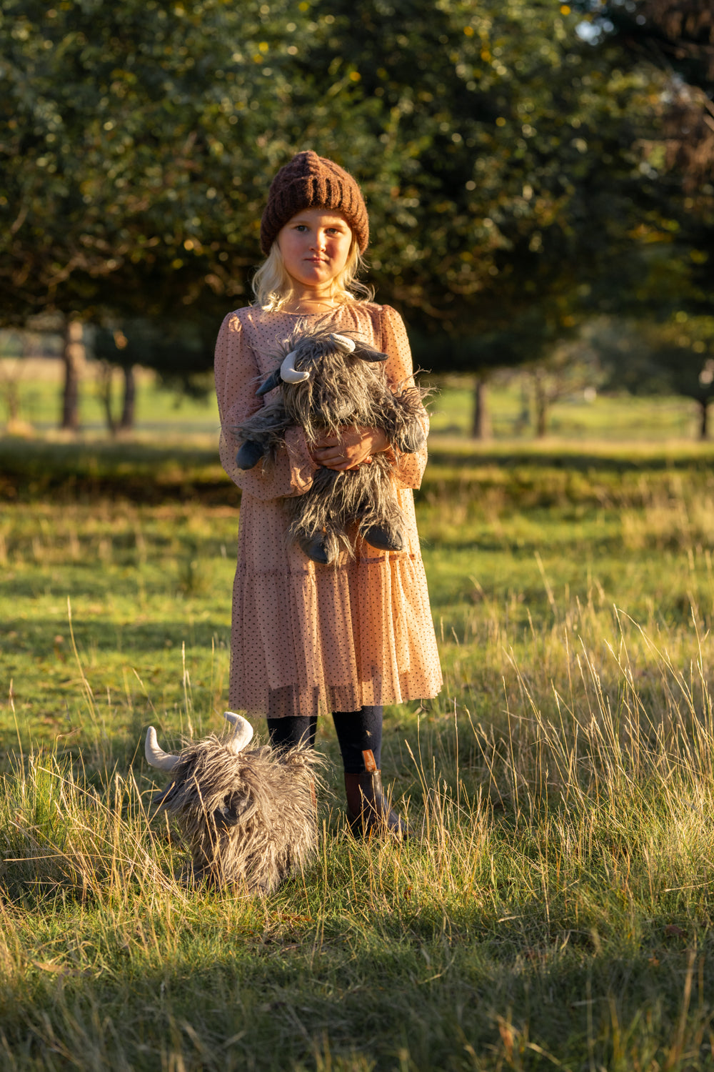 Henry the Highland Cow Charcoal - Nana Huchy