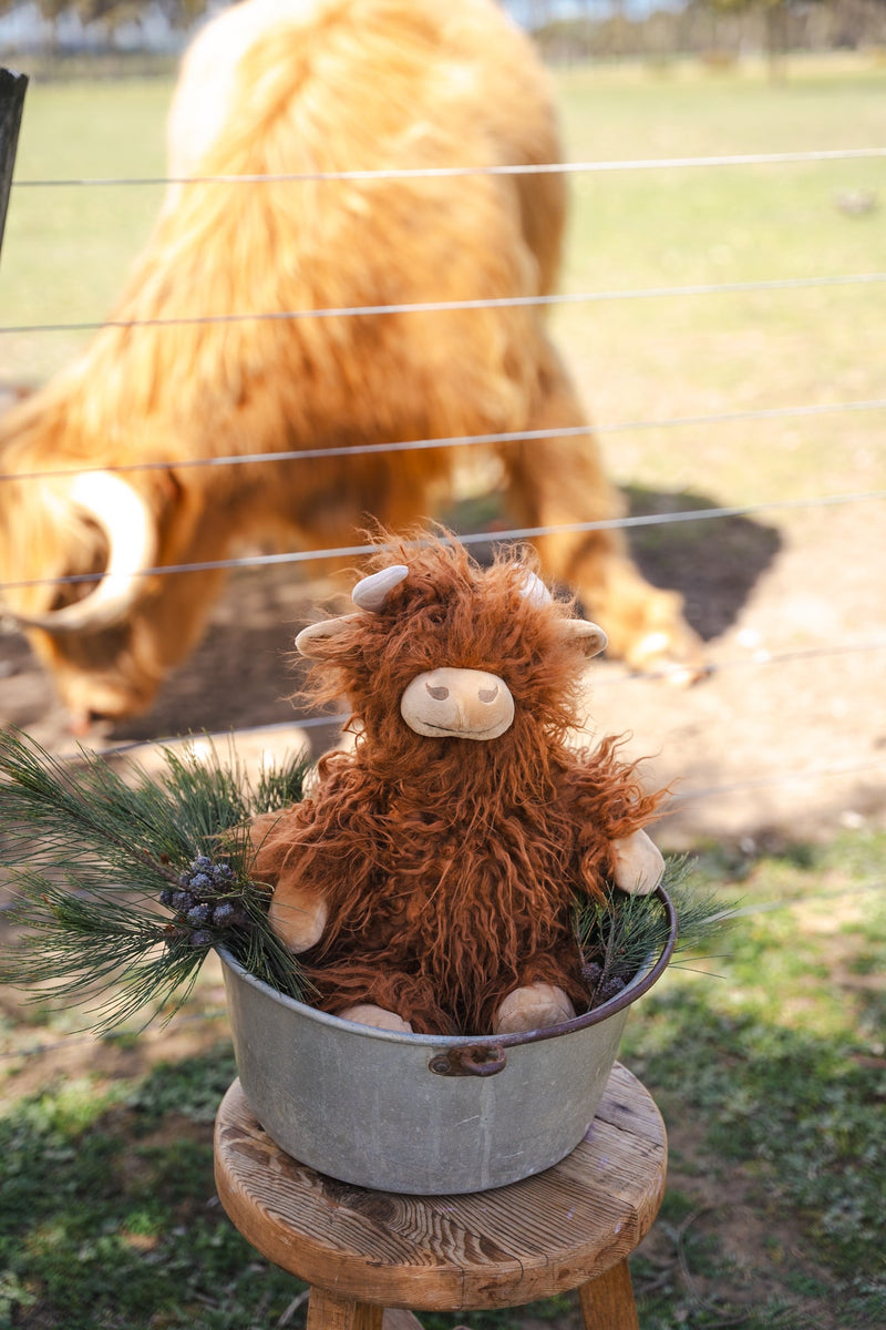Henry the Highland Cow - Nana Huchy