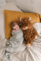 Henry the Highland Cow - Nana Huchy