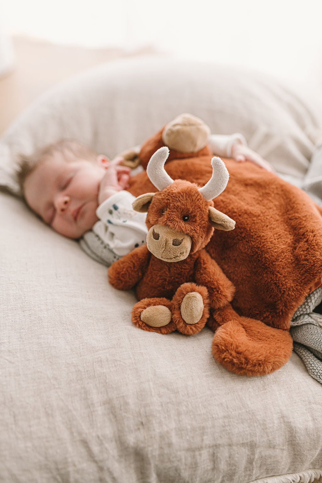Henry the Highland Cow Rattle - NanaHuchy