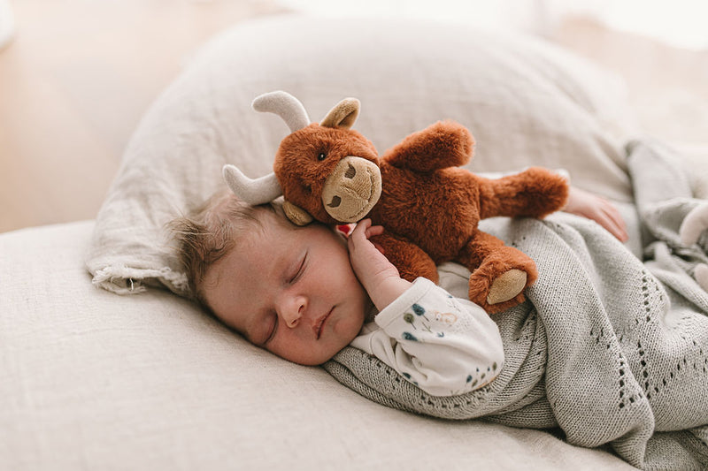 Henry the Highland Cow Rattle - NanaHuchy