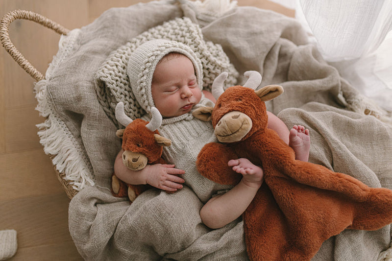 Henry the Highland Cow Rattle - NanaHuchy