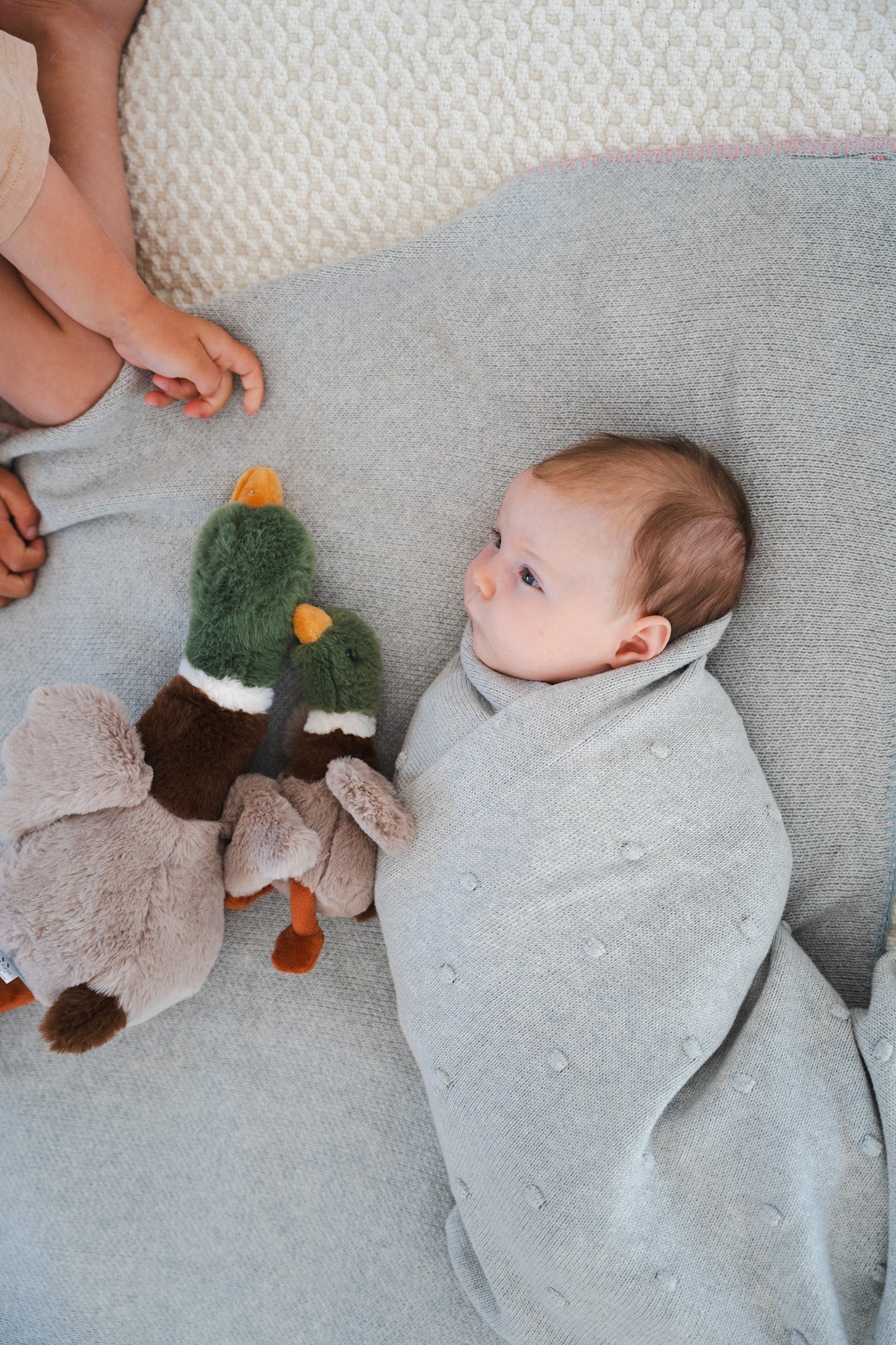 Hugo the Mallard Duck - NanaHuchy