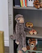 Mani the Monkey - Nana Huchy