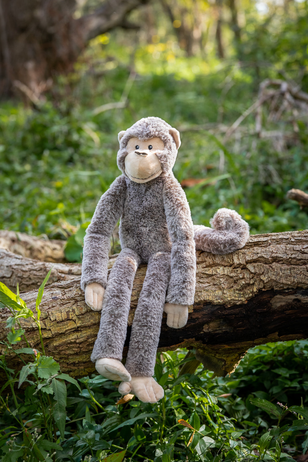 Mani the Monkey - Nana Huchy