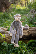 Mani the Monkey - Nana Huchy