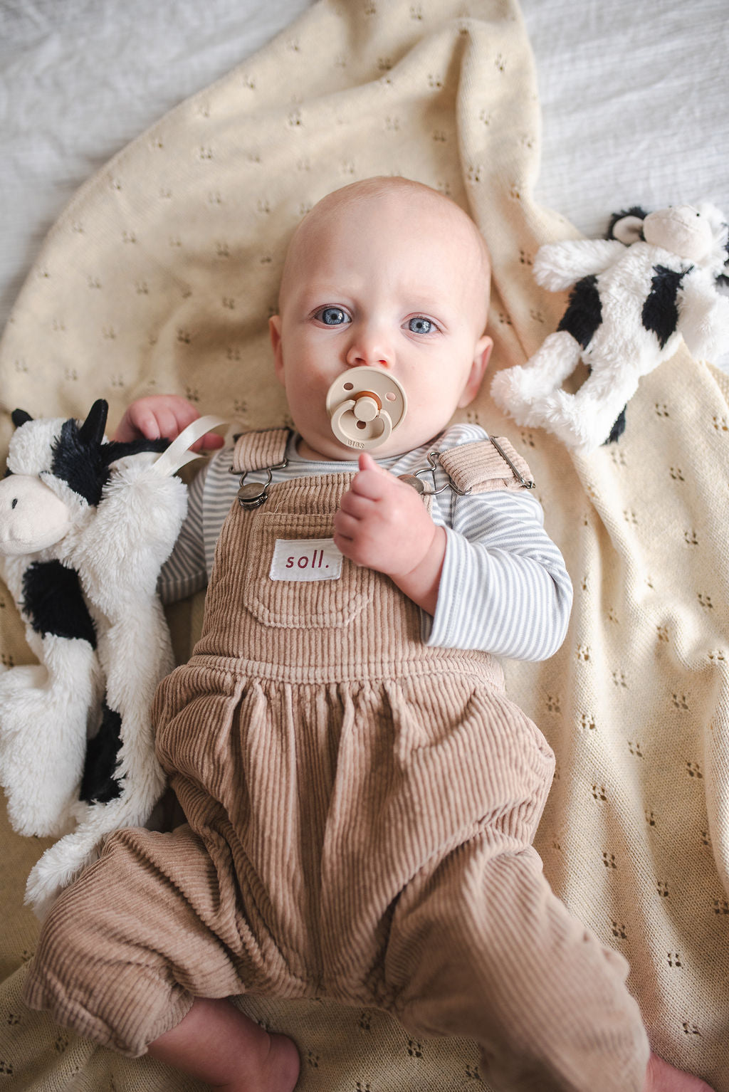 Mini Clover the Cow Rattle - Black - NanaHuchy