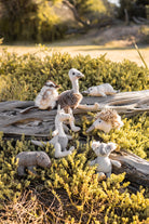 Mini Kylie Kangaroo Rattle - Nana Huchy