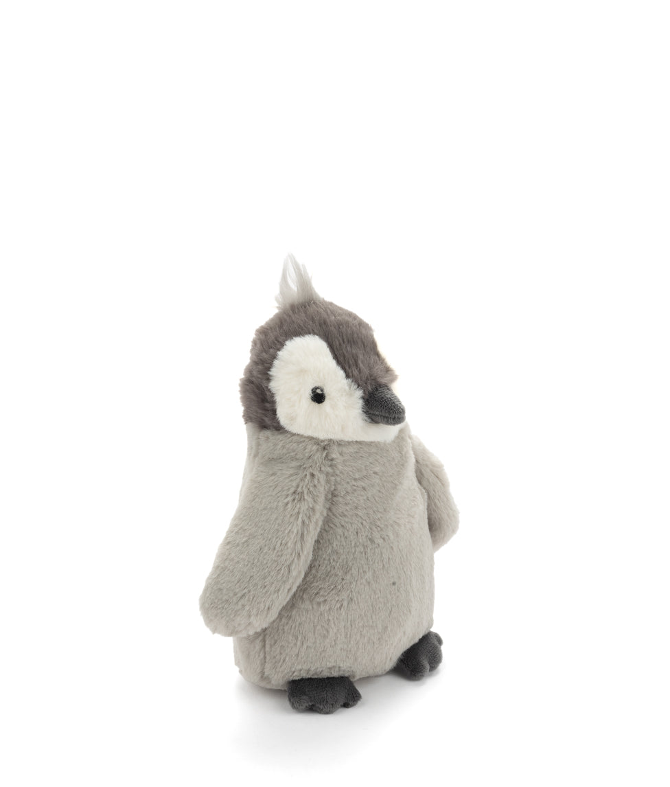 Paulo the Penguin - NanaHuchy
