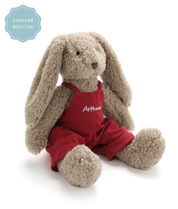 Personalised Mr Honey Bunny - Red - Nana Huchy