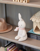 Personalised Pink Beatrix Bunny Bundle - Nana Huchy