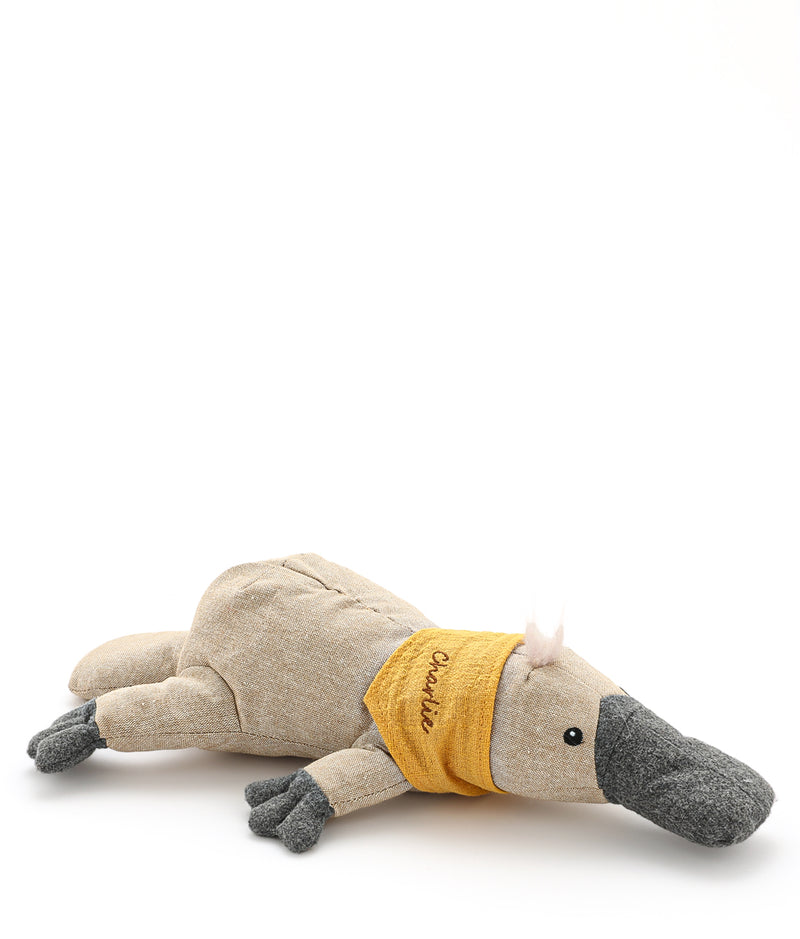 Pete the Platypus - Nana Huchy