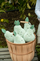 Polly Pear - The Positive Friend - NanaHuchy