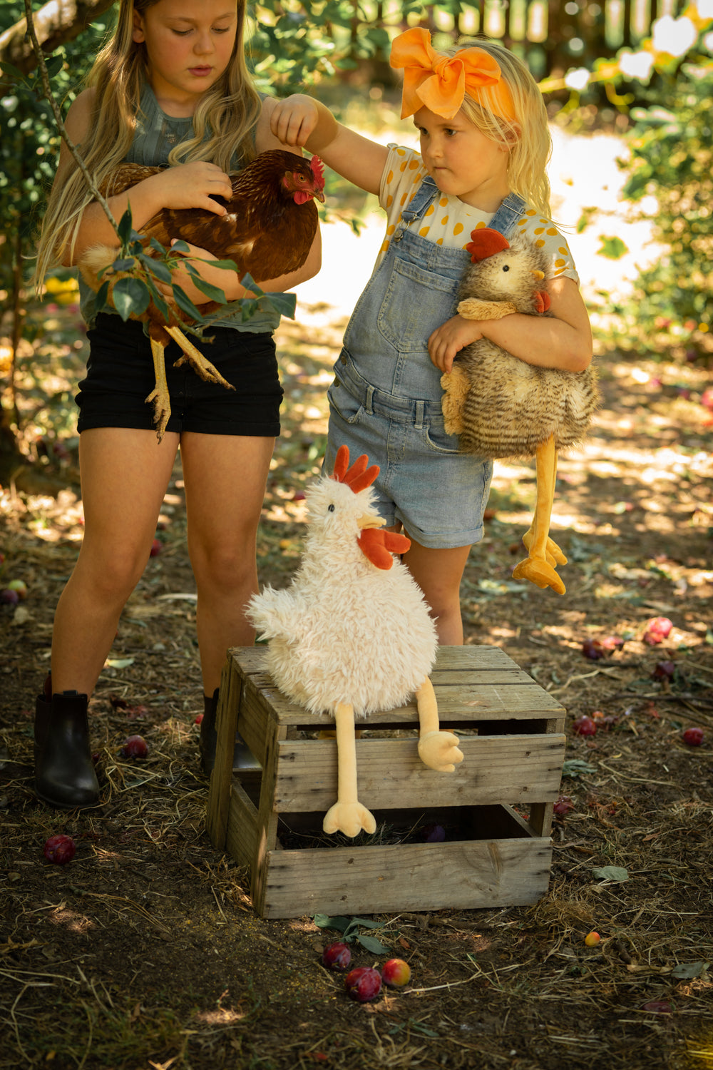 Roy the Rooster - NanaHuchy