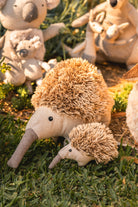 Spike the Echidna Set - Nana Huchy