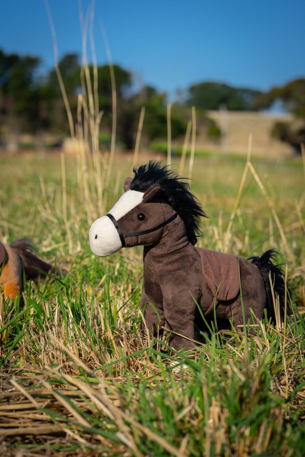 Thunder the Horse - Make it Personal - Nana Huchy